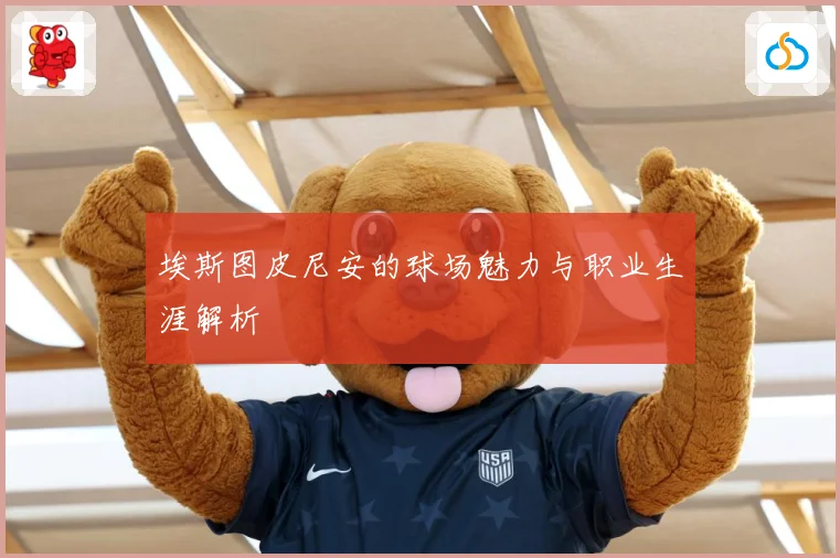 埃斯图皮尼安的球场魅力与职业生涯解析