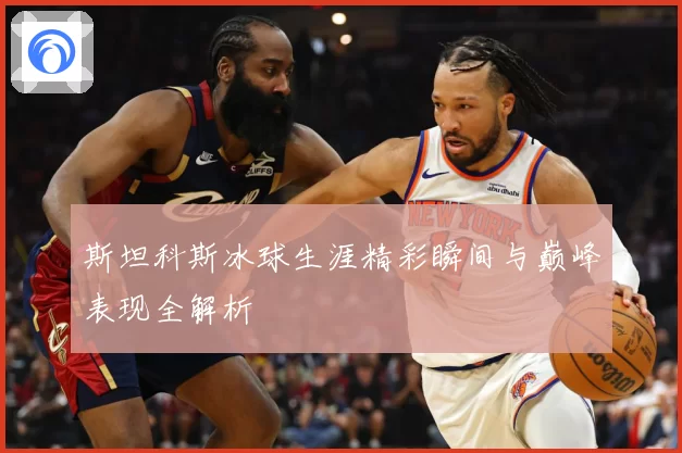 斯坦科斯冰球生涯精彩瞬间与巅峰表现全解析